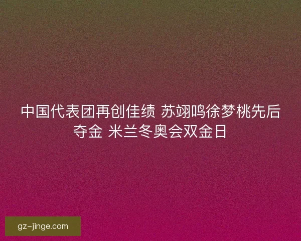 中国代表团再创佳绩 苏翊鸣徐梦桃先后夺金 米兰冬奥会双金日