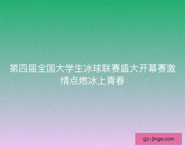 第四届全国大学生冰球联赛盛大开幕赛激情点燃冰上青春