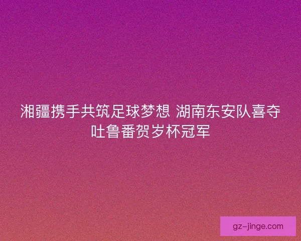 湘疆携手共筑足球梦想 湖南东安队喜夺吐鲁番贺岁杯冠军